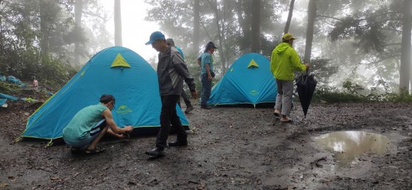 百岳~西巒大山-上山喘喘、下山膝軟。1035474