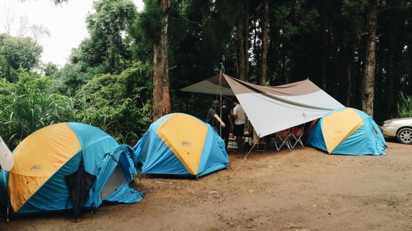 油羅山・羅山林道｜豪華露營、悠閒健行1043955