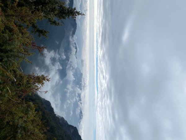 1131215大塔山步道2669221