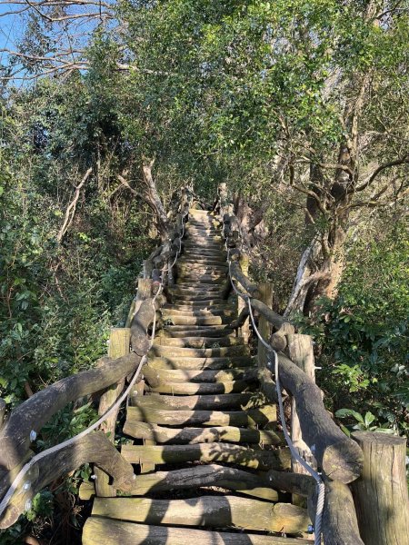 大坑二號步道2711568