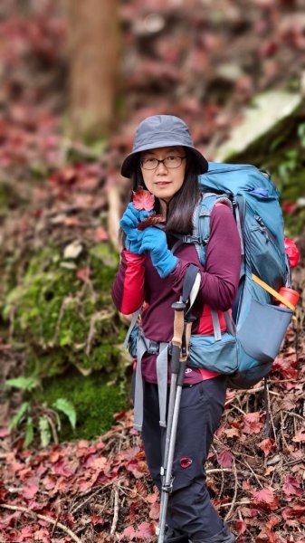 南一段20250101~052684988