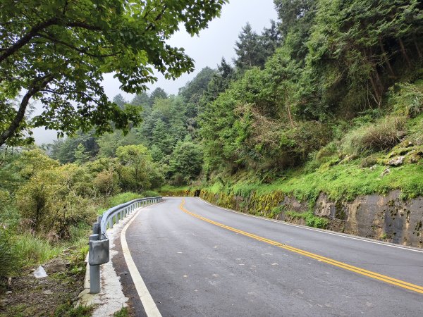 [玉山尋寶任務-08/12] 2025_0824 鹿林山步道_鹿林山2870789