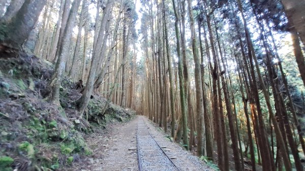 20241127特富野古道+梯子板山2659316