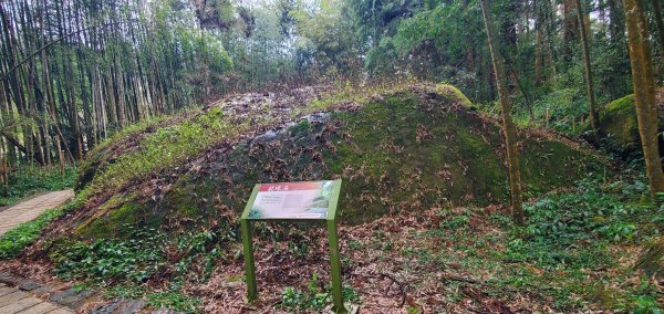 2025-01-18頂湖步道2694216