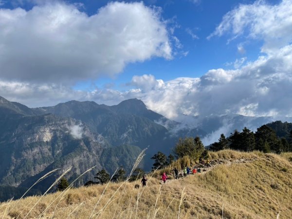 雪山東峰+武陵賞櫻2751202