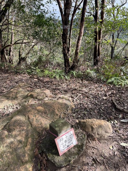 大湖翠湖金龍湖2711898