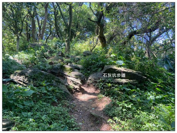 中坑山．石灰坑山．望湖山 連走2812966