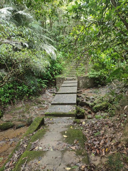 微笑山線：【五分山系】菁桐煤礦段、平溪小黃山段、望古瀑布段2841291