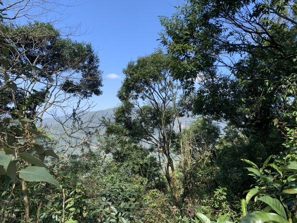 20250228屏東達洼蘭山-下達洼蘭山2732891