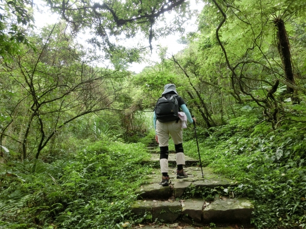 清天宮．面天坪．大屯坪．二子坪94410