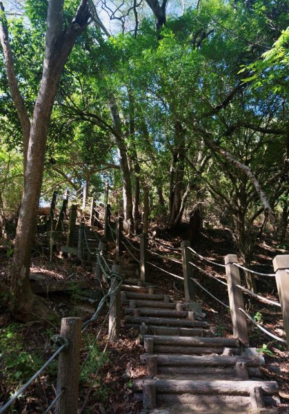 新田登山步道 聚興山1310777
