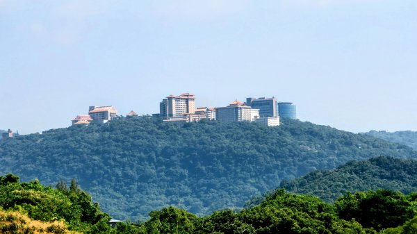 中正山3134354