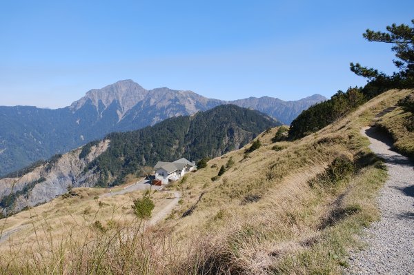 合歡山東峰3038984