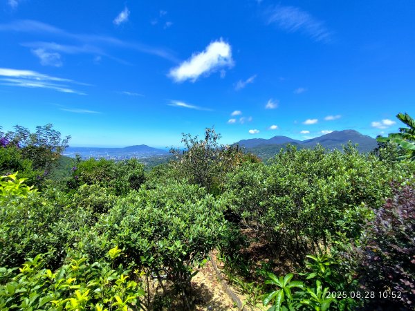 翠山步道、大崙頭尾山親山步道【臺北健走趣】2874344
