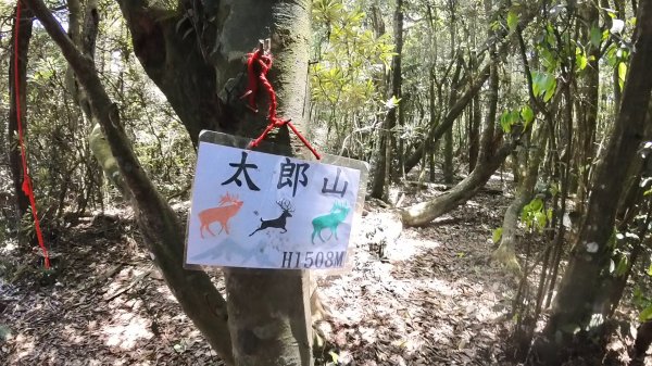 20250421_阿白縱走2774485