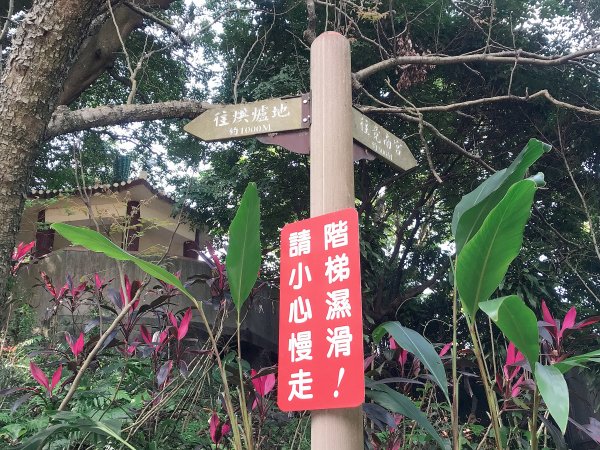 ~ 烘爐地登山步道(南勢角山) ~1626926