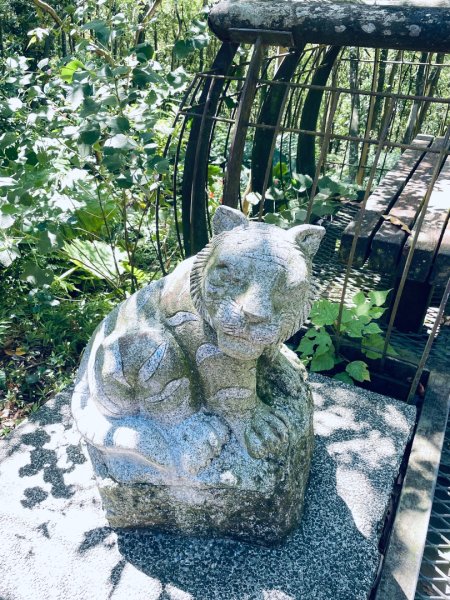 20250928 九五峰-拇指山-象山2903911