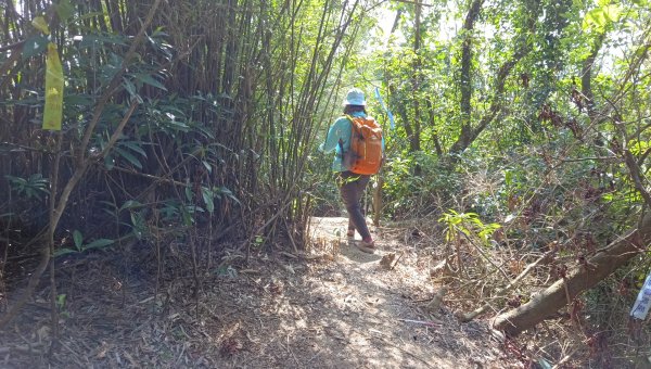 (姨婆趴趴走)第四十九集:攀登連走宜蘭梗枋山、橋板湖山2747722