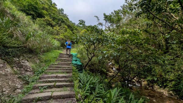 114.05.30大粗坑古道-金瓜石山-小粗坑山之旅2799434