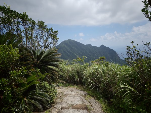 [淡蘭古道] 2026_0531 北路第一段_樹梅坪古道