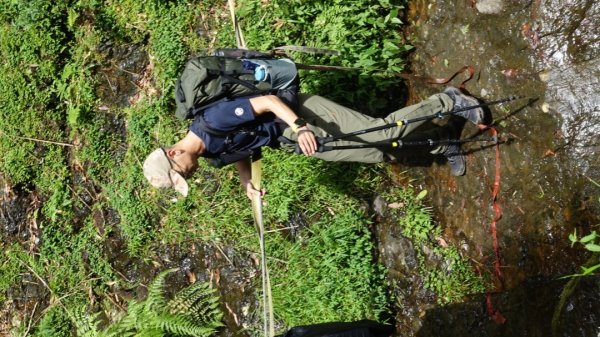 雙龍林道上巒安堂西巒大山1778672