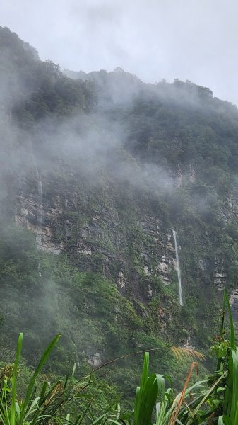 20230730 苗栗加里山午後雷陣雨篇（中級山小百岳）2235171