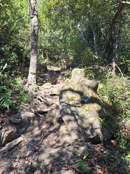 德文山(觀望山)202601052978651