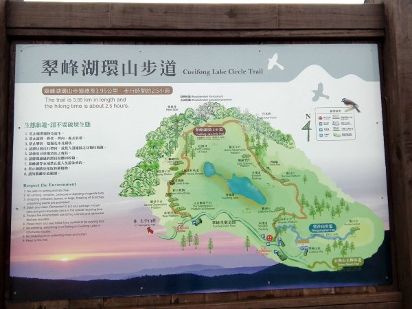 藏身於雲霧中的湖泊~翠峰湖466997