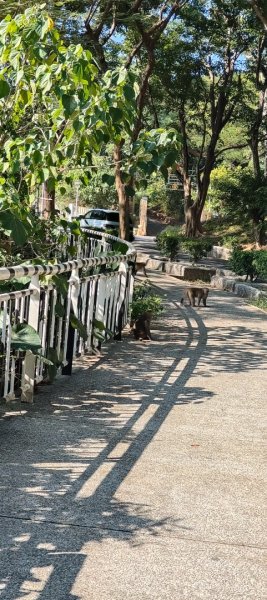 高雄壽山、半屏山2943038