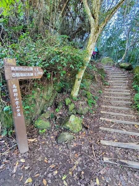 【苗粟 | 馬拉邦山】1227230