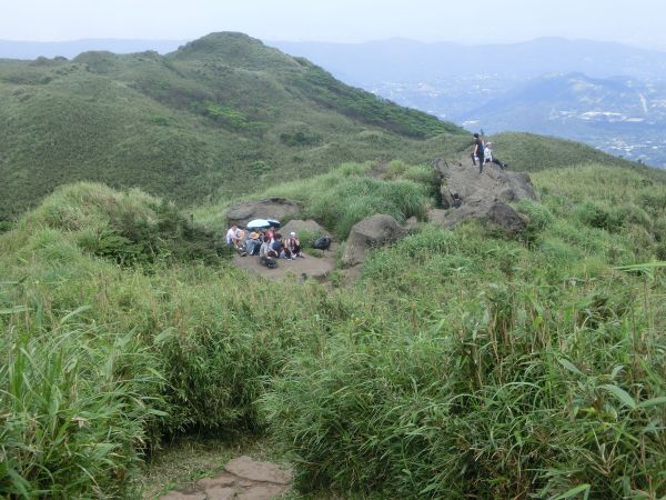 七星山主東峰．七星公園．冷苗步道331894