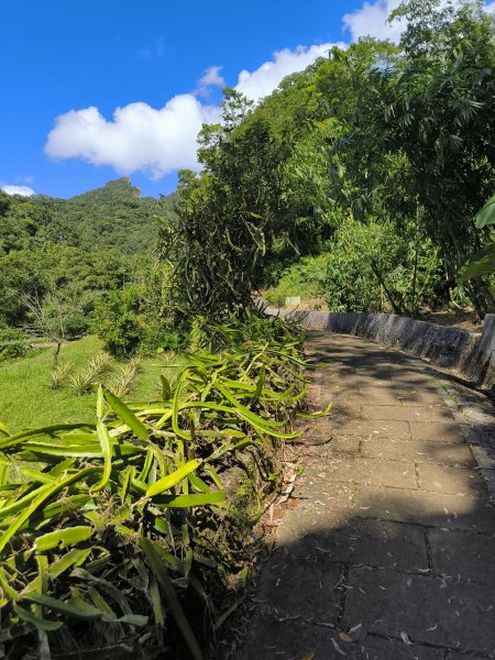 20251010微笑山線：【五分山系】菁桐煤礦段2910189