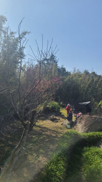 2025-0130溪和宮-大崎頭步道-鵝尾山-平溪步道-鵝尾山水田-42巷-溪山百年古圳-平菁步道2701863