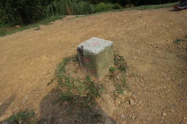 小百岳NO12  汐止大尖山 縱走海拔641公尺 四分子尾山2229089