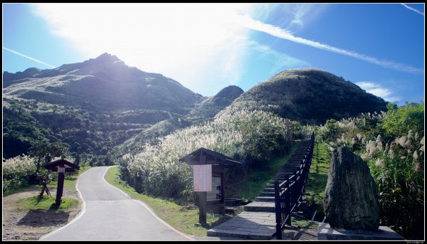 黃金三稜（茶壺山稜）480949