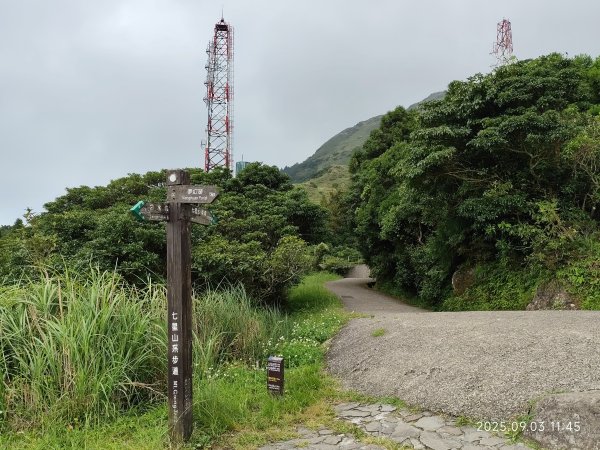 【臺北大縱走 2、3、4】冷水坑→七星山主東峰步道→冷擎步道→小油坑→鵝尾山→內湖許願步道2878904