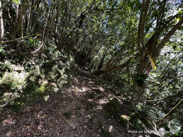 微笑山線【五分山系】菁桐煤礦段＋平溪小黃山段2906709