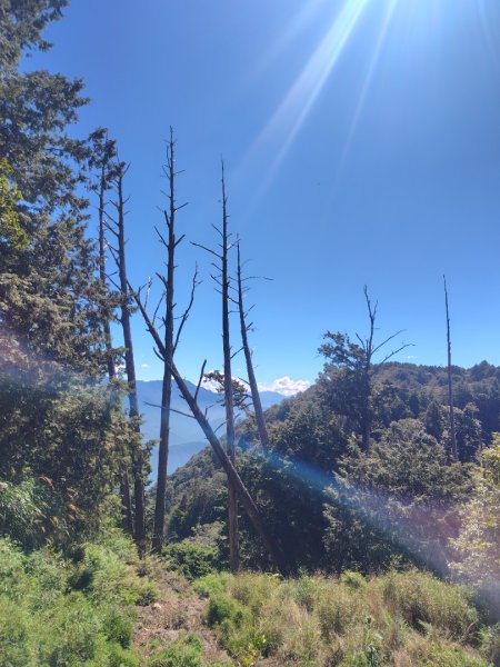 守關山南峰 守關山 守城大山2919164