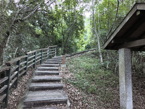 [玉山尋寶任務-07/12] 2025_0824 八通關雲龍瀑布步道2870406