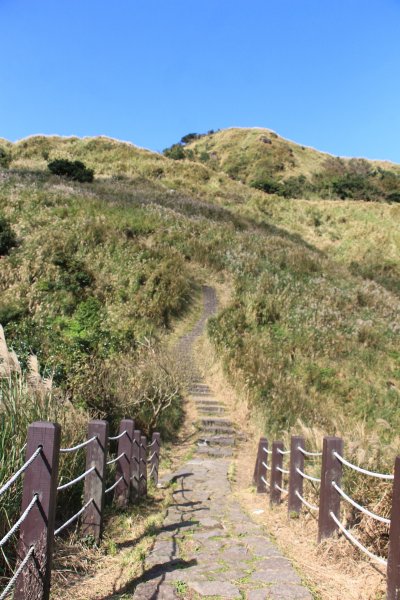 芒芒的七星山758944