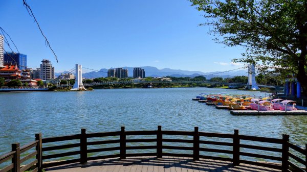 落羽松大道,龍潭大池2976188