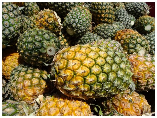 彰化/橫山觀日步道636159