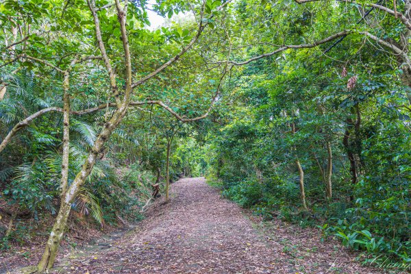 [台南]崁頭山2848471