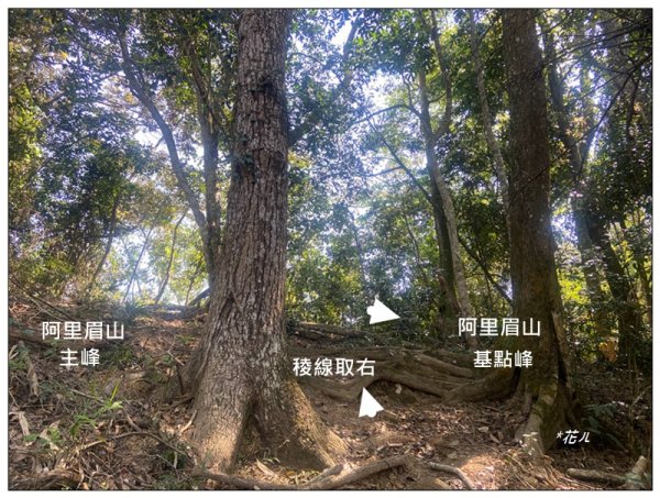 阿里眉山 (日月潭四姝的么妹)2753070