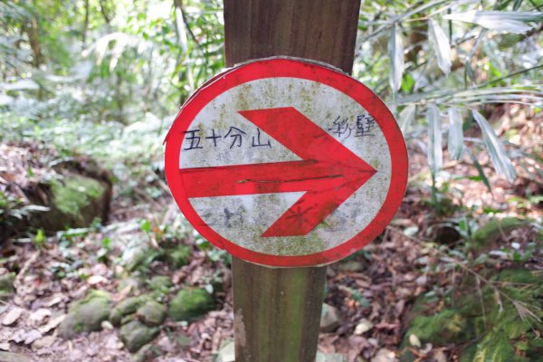 鳶山登山步道2095349