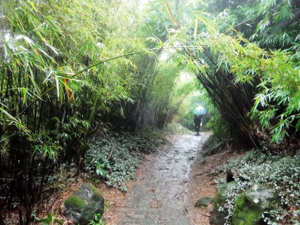梅雨特訓~陽明山四湖連走137555