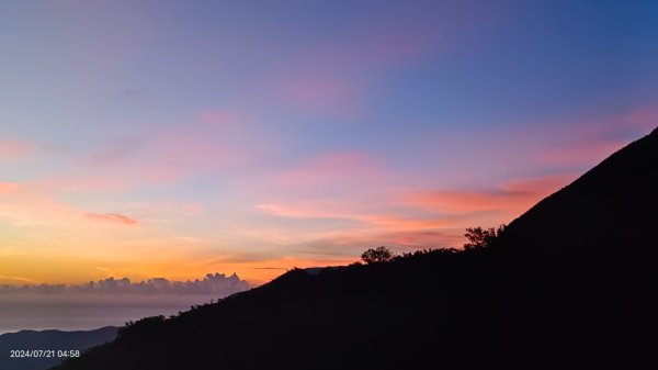 雲山水花鳥蝶 - 天龍國阿伯的日常7/18 & 21、22、292555555
