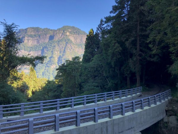 二萬坪鐵道漫遊尋神木走二萬坪山屏遮那山1118217