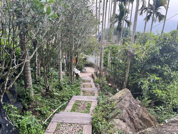 2023_0429_挑筍古道2138304