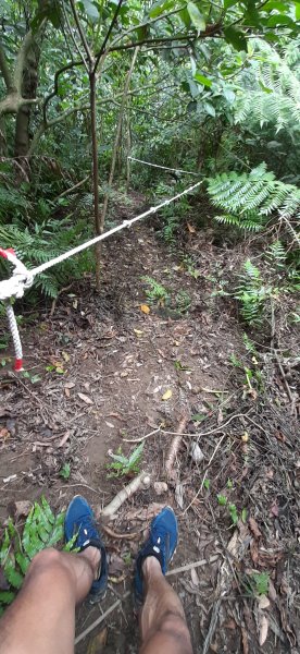 20200509 暖暖 - 威惠廟960902